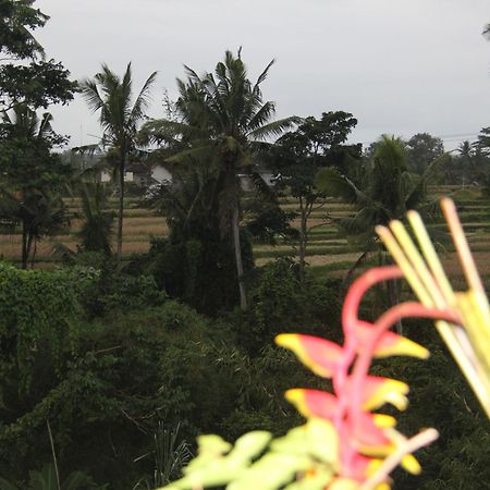 Ogek Home Stay Ubud Eksteriør bilde