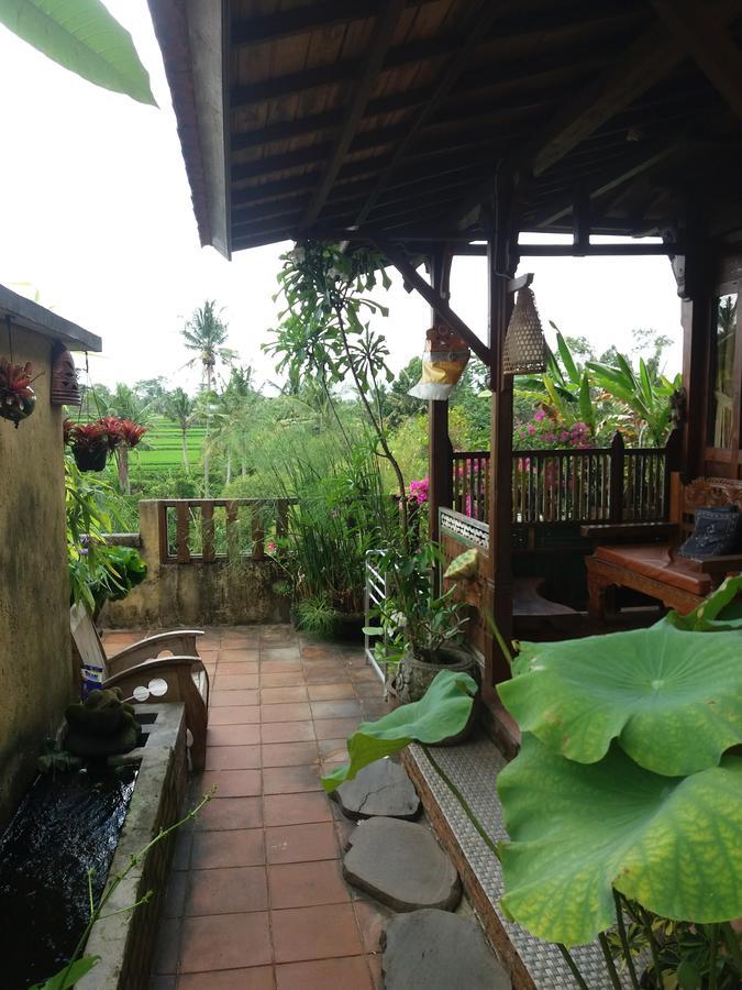 Ogek Home Stay Ubud Eksteriør bilde