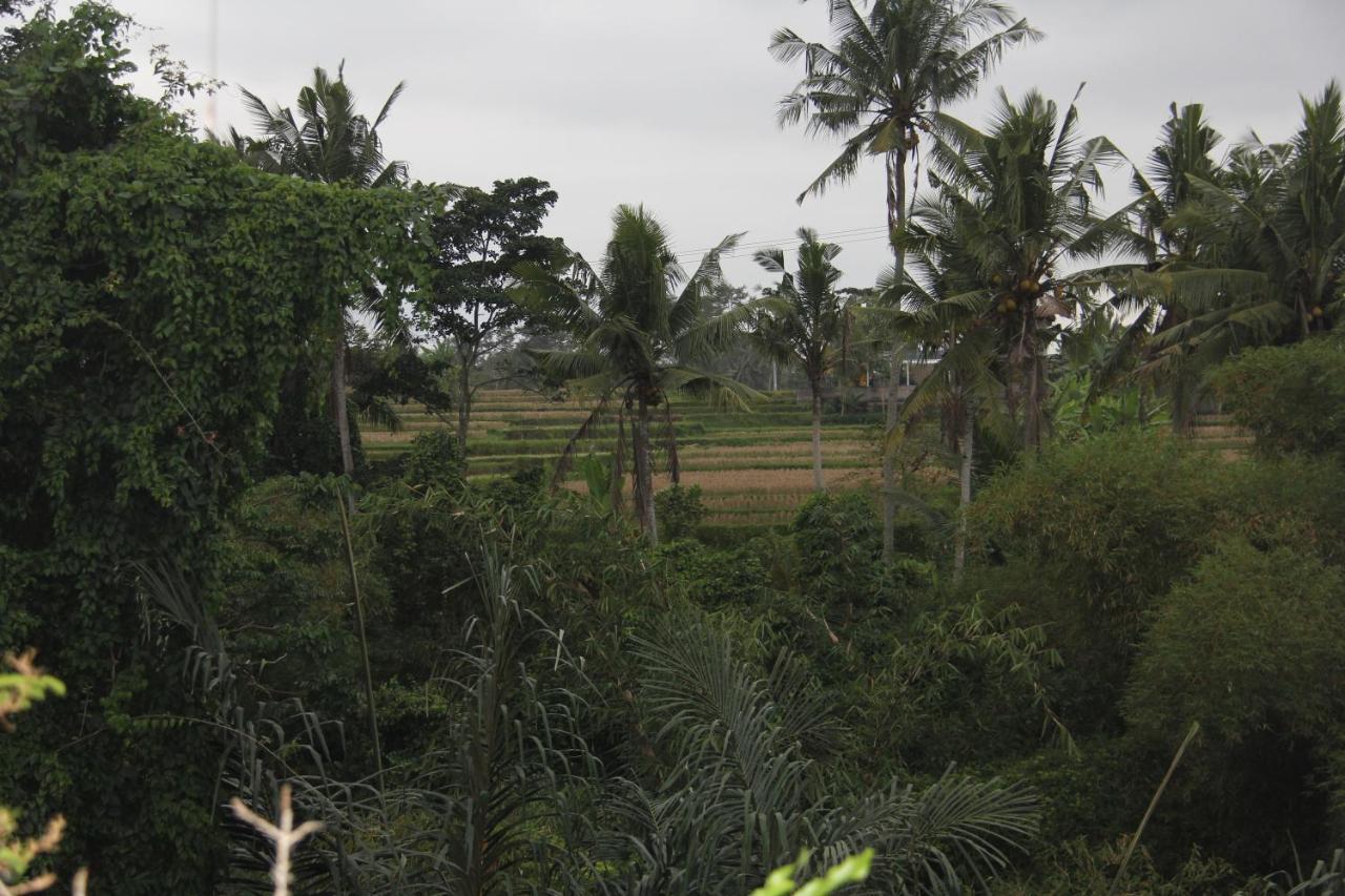 Ogek Home Stay Ubud Eksteriør bilde